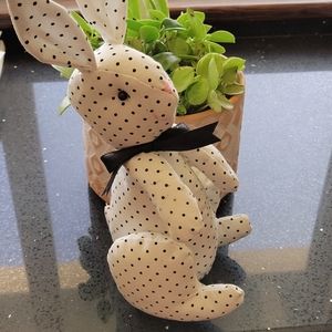 Polka-dot bunny